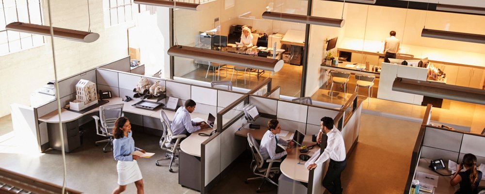 Offices pest control